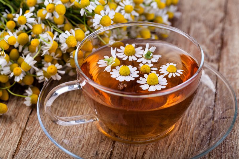 Chamomile for Insomnia