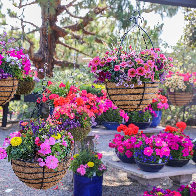 Go Vertical with Hanging Baskets