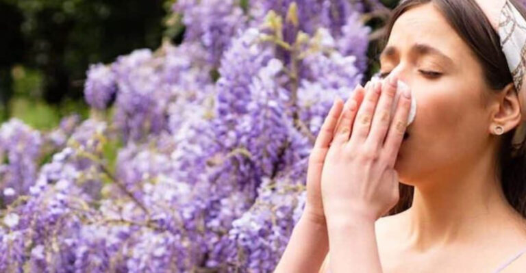 Sneeze-Free Gardening: How to Keep Allergens Out of Your Garden