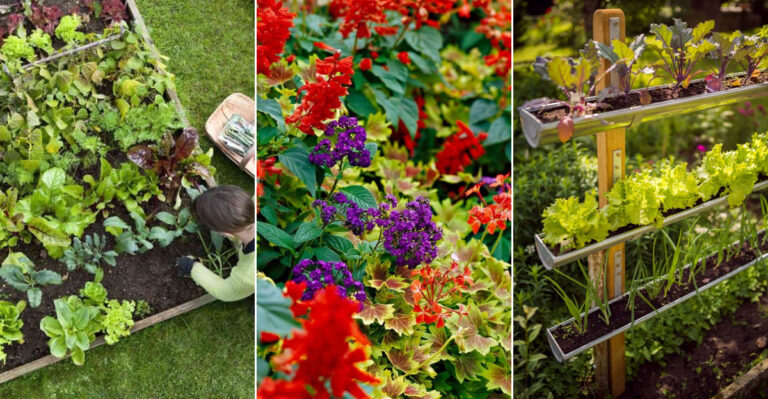 Spring Garden Trends: 10 Fresh Ideas Everyone Will Be Using This Season