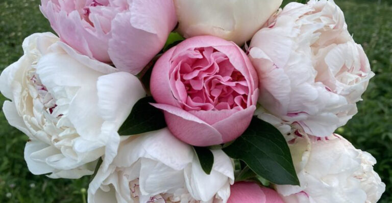 These 12 Lazy-Gardener-Approved Flowers Will Make Your Bouquets Look Professional!