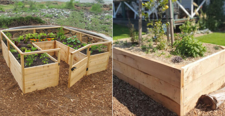 Top 7 Wood Choices for Raised Garden Beds That Last for Years