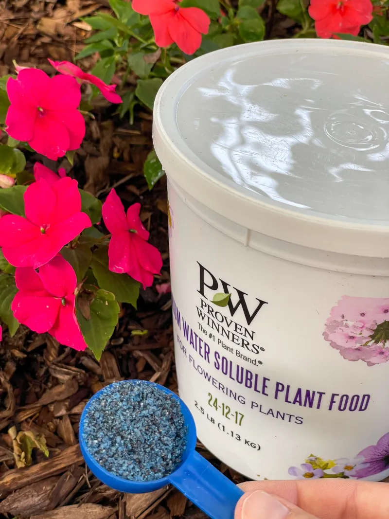 Excessive Fertilizer