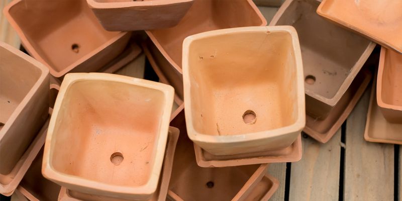 Use Containers with Drainage Holes