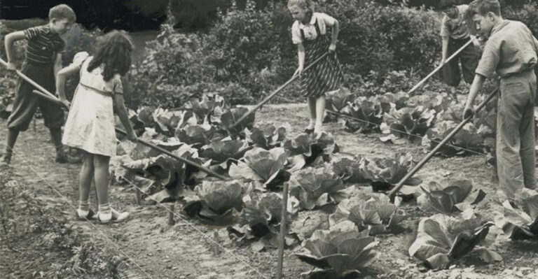 Victory Gardens to Vertical Beds: How Gardening Has Changed Over the Decades