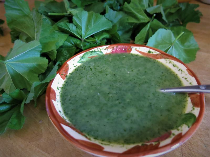 Mallow (Common Mallow)