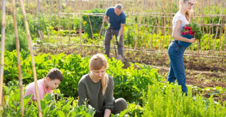 👉 20 Time-Wasting Gardening Habits That Deserve a Proper Funeral