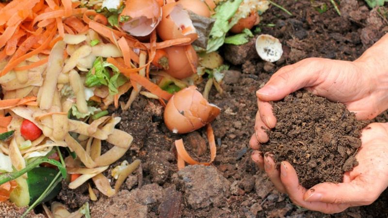 2. Utilize Kitchen Scraps for Fertilizer
