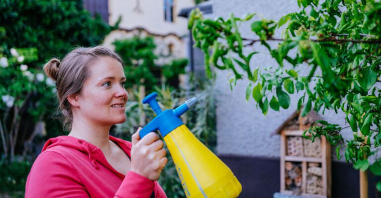 10 Essential Steps to Start a Vegetable Garden (Plus 5 Rookie Mistakes to Avoid)