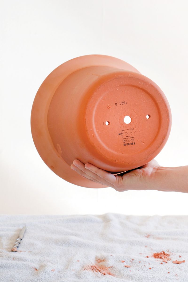 Choose a Container with Drainage