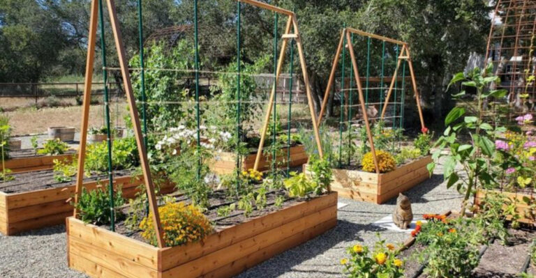 10 Tips to Keep Vegetables Growing Healthy