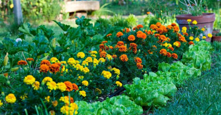 11 Expert Tips for a Safe and Sustainable Outdoor Space