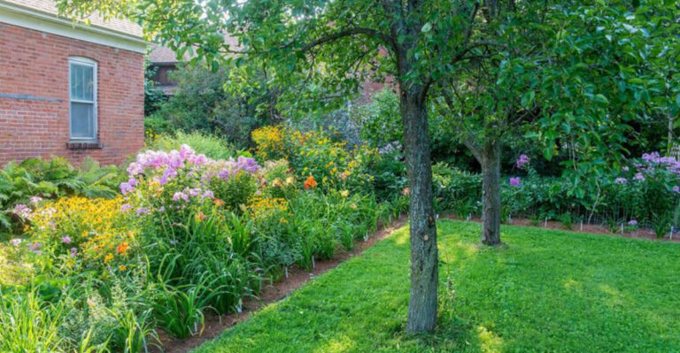 11 Garden Mistakes to Avoid in the Pacific Northwest’s Rainy Climate