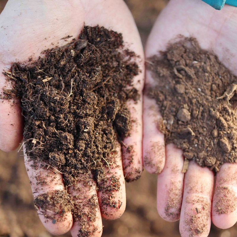 Start with Healthy Soil
