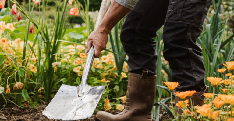 12 Must-Have Tools for Every Gardener (And 6 Overrated Ones You Don’t Need)