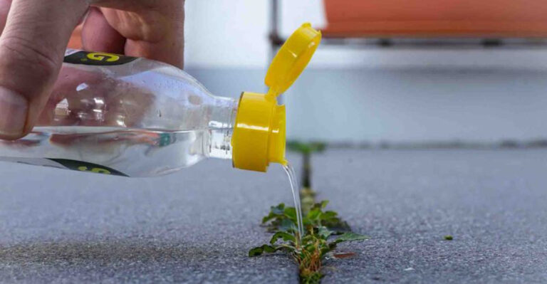 12 Natural Ways to Get Rid of Weeds for Good