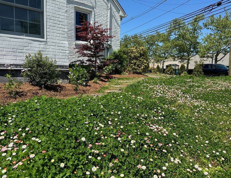 Low Maintenance Needs