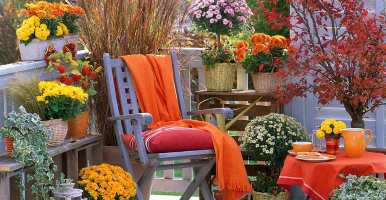 13 Balcony Plants That Survive Every Season—Yes, Even Winter!