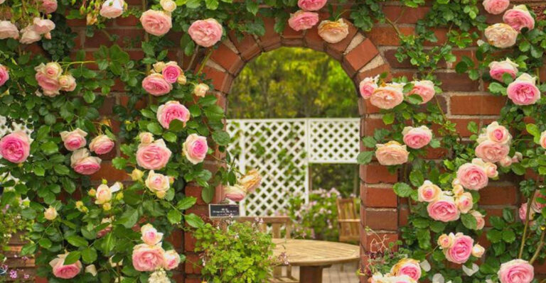 14 Creative Decorative Options to Beautify Bare Garden Walls