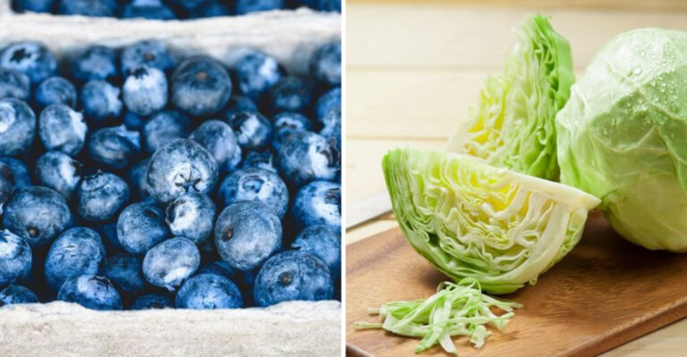 15 Best Fruits & Vegetables for Weight Loss