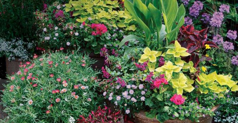 15 Clever Ways to Keep Your Garden Alive During Extreme Heat Waves