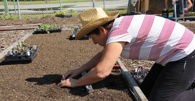15 Common Mistakes That Kill Your Garden (And How to Fix Them)