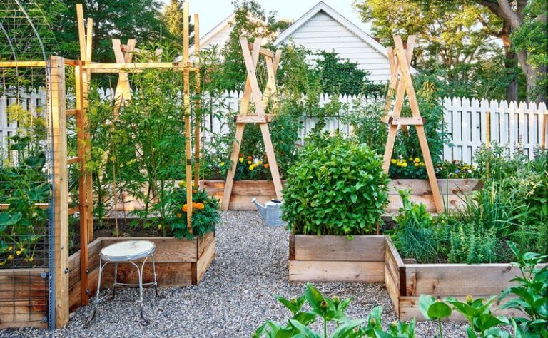 15 Essential Tips for Building and Maintaining a Raised Bed Garden ...