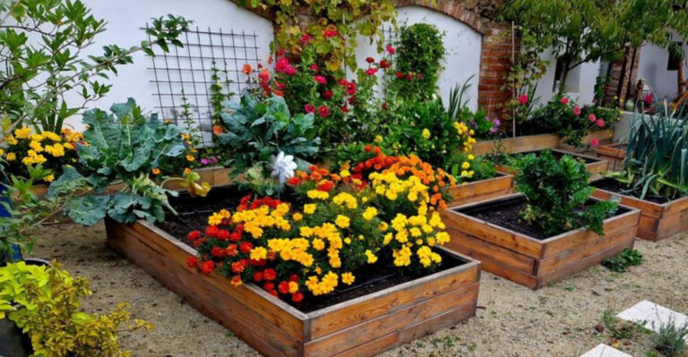 15 Essential Tips for Building and Maintaining a Raised Bed Garden