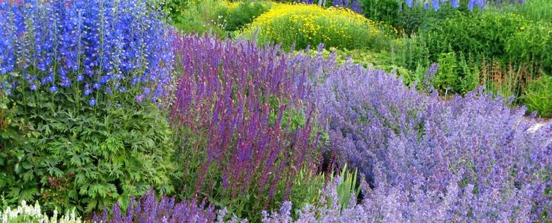 Monochromatic Gardens