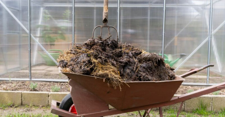 15 Genius Composting Tricks That Turn Trash Into Garden Gold Fast