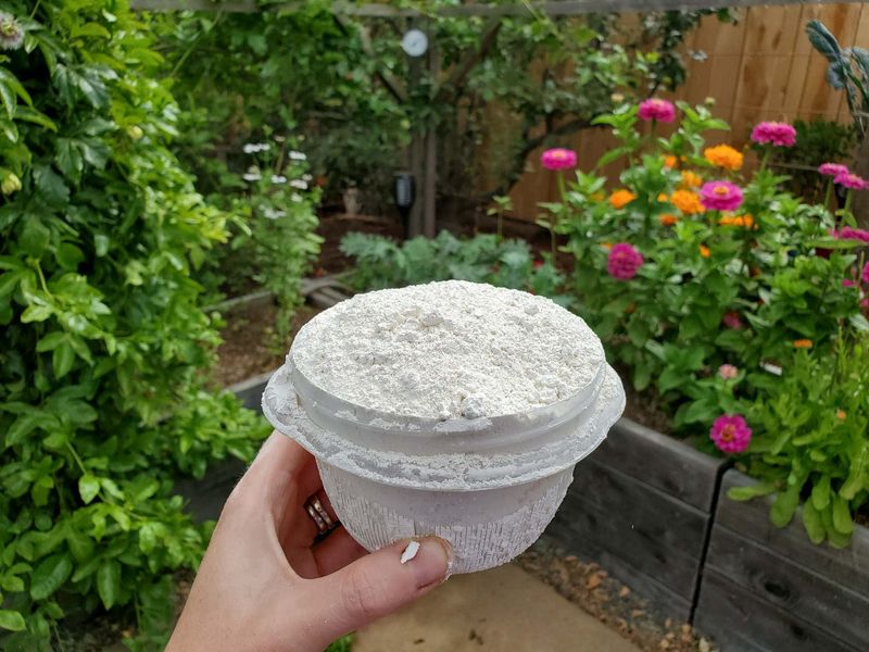 Diatomaceous Earth – Powder that shreds soft-bodied bugs (ants, slugs, aphids). Tip: Reapply after rain.