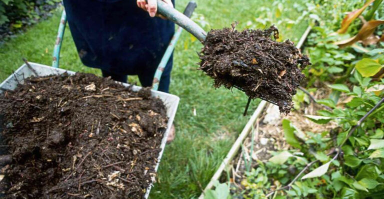 15 Organic Mulching Materials That Will Transform Your Garden Beds