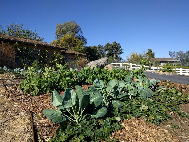 Choose the Right Location