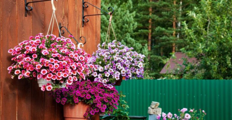 15 Simple Garden Layouts That Maximize Space