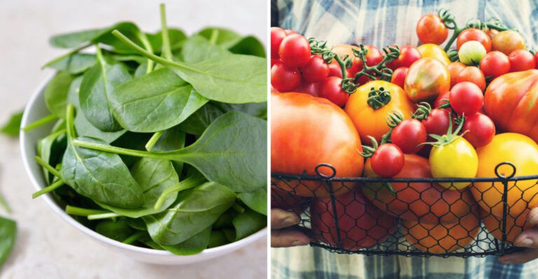 15 Vegetables to Boost Brain Function