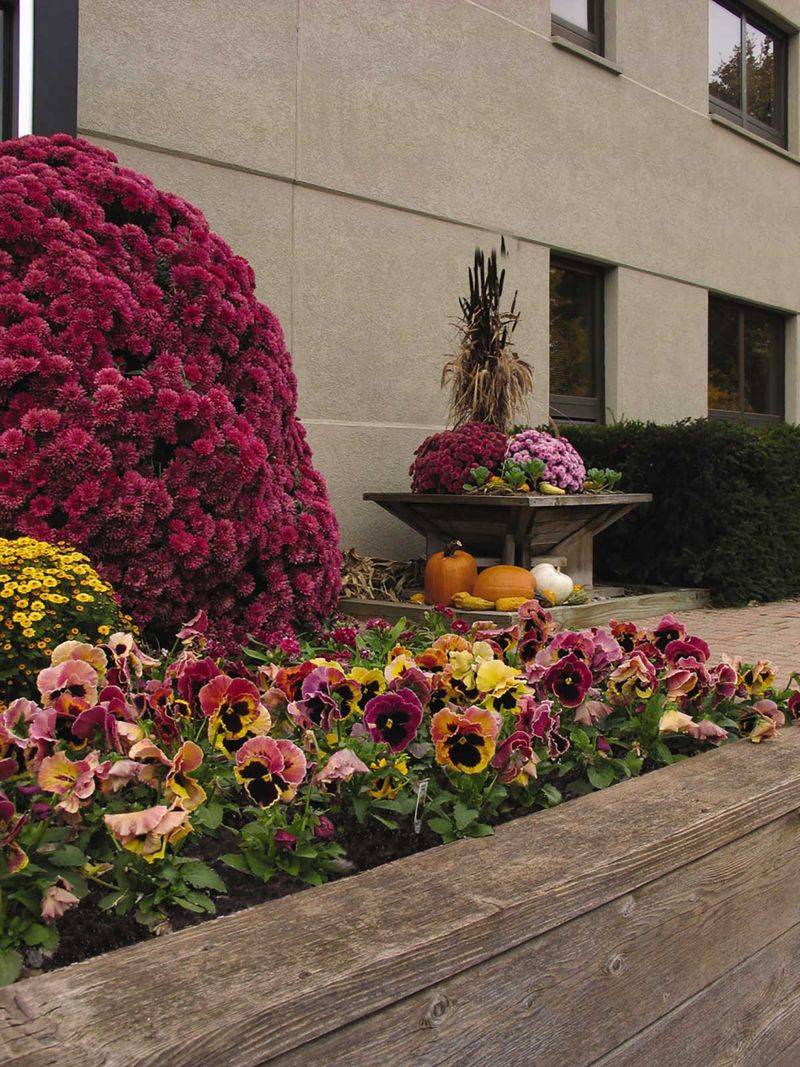 Choose the Right Location