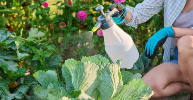 16 Mistakes First-Time Gardeners Always Make (And How to Avoid Them)