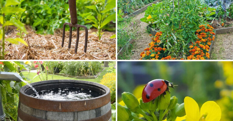 16 Old-School Gardening Tips from the Past That Actually Work