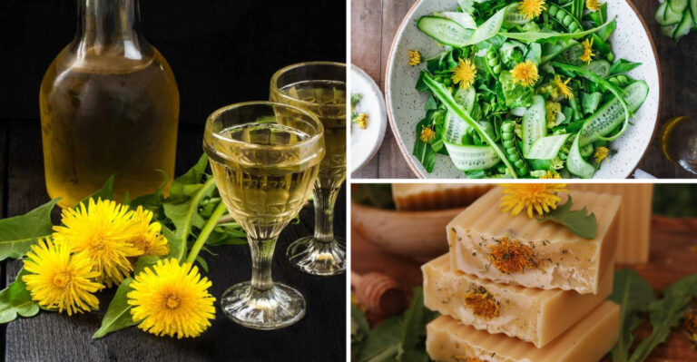 17 Clever Ways to Use Dandelions You’ve Probably Never Tried