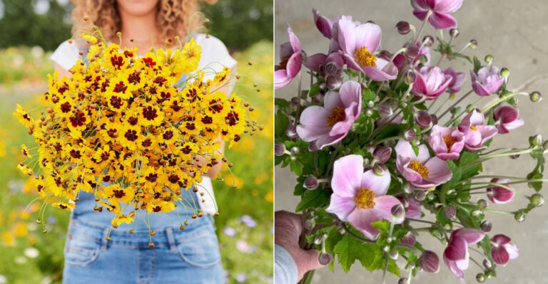 17 Perennials That Look Amazing Cut Fresh (And 10 That Wilt the Moment You Snip Them)
