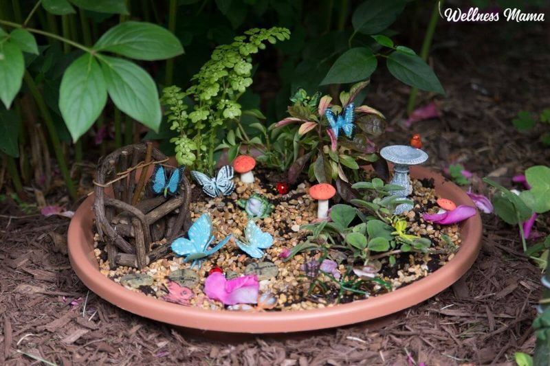 Fairy Garden Creation
