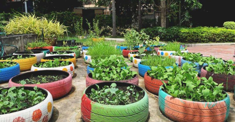 18 Bizarre Garden Hacks Using Ordinary Household Items