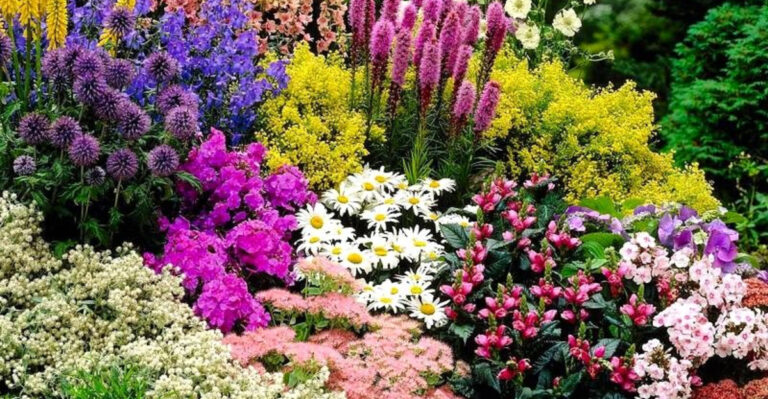20 Landscaping Ideas For People Who Don’t Like Yard Work