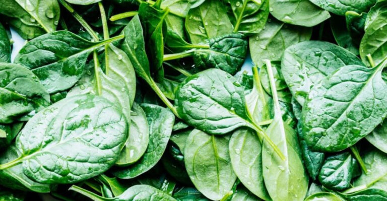 20 Tasty Vegetables That Lower Blood Pressure