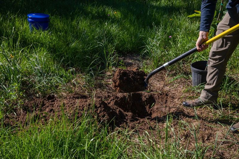 Understand Your Soil Type