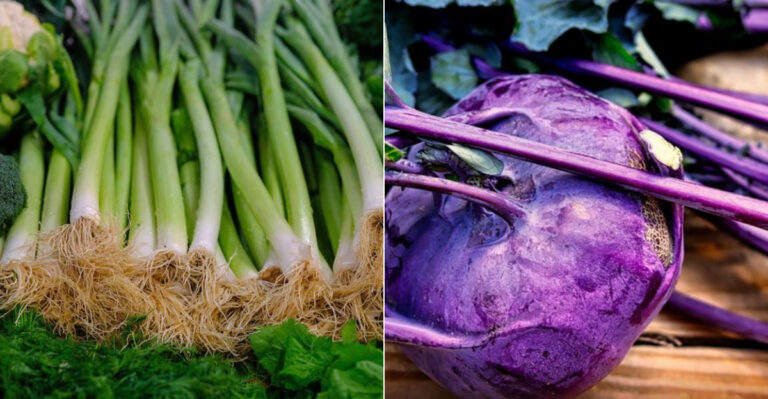 20 Vegetables That Are Healthier Than They Seem