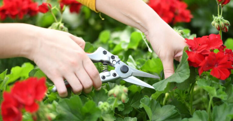 23 Garden Tools You Actually Need (And Which to Skip)