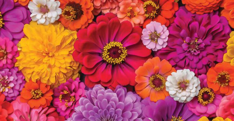 25 Beautiful Plants To Grow Instead Of Daffodils