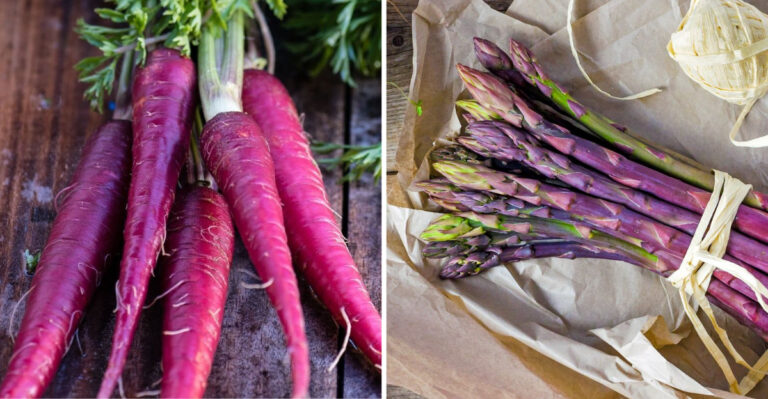 25 Purple Vegetables: Top Varieties to Grow