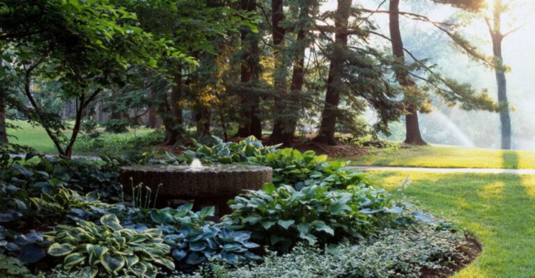 25 Shade-Loving Plants That Thrive Without Sunlight